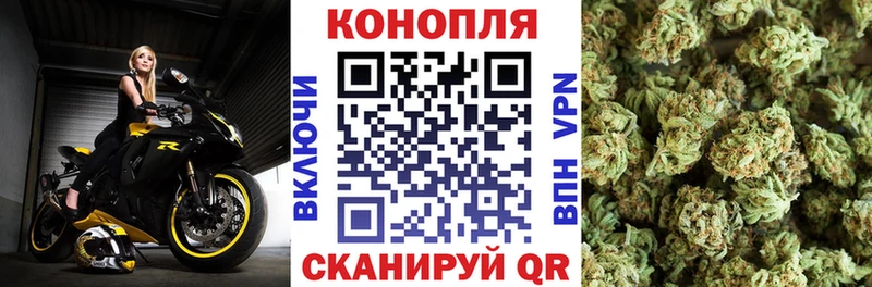 А ПВП Саров