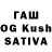 Галлюциногенные грибы Cubensis David Tolchinsky