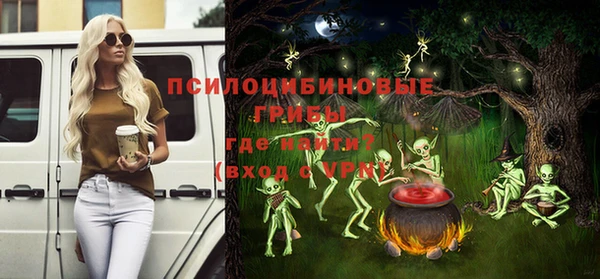 spice Арсеньев
