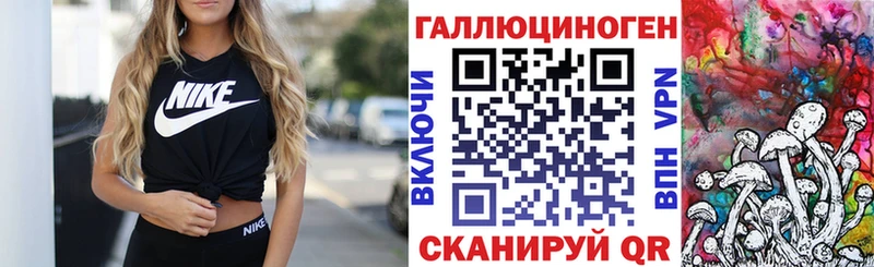 Псилоцибиновые грибы Psilocybine cubensis  Саров 